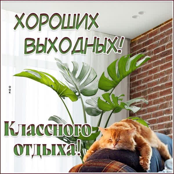 ХОРОШИХ