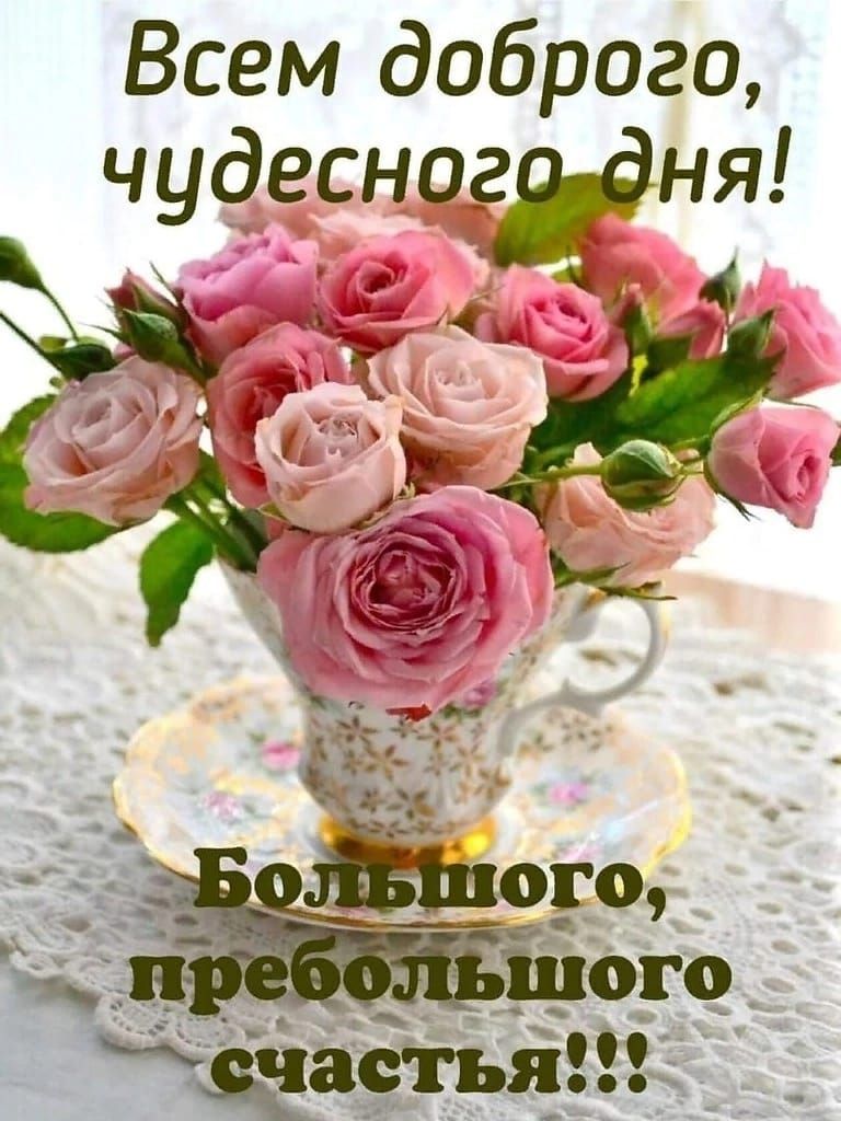 Всем доброго щасШНЬ _