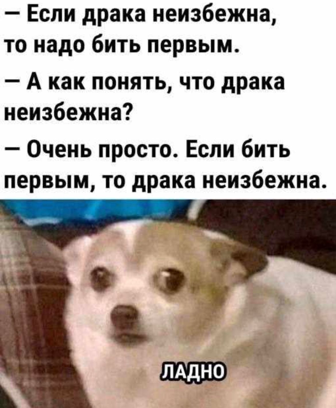 Если драка неизбежна то надо бить первым А как понять что драка неизбежна Очень просто Если бить первым то драка неизбежна