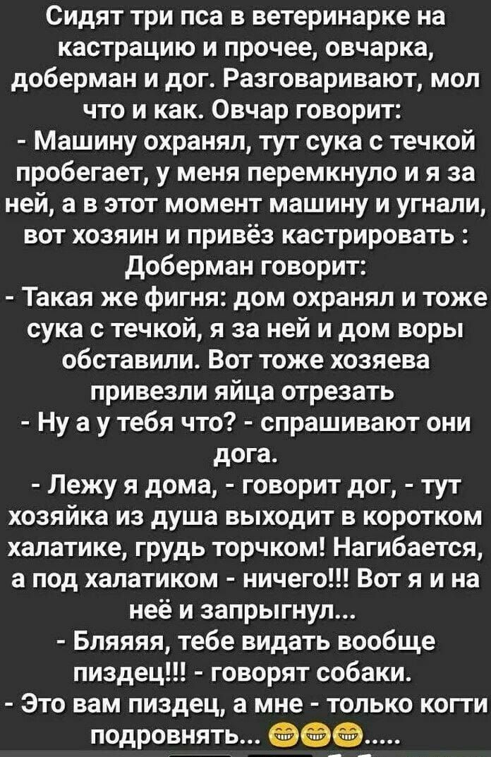 Сидят три пса в ветеринарке на кастрацию и прочее овчарка доберман и дог Разговаривают мол что и как Овчар говорит Машину охранял тут сука течкой пробегает у меня перемкнупо и я за ней а в этот момент машину и угнали вот хозяин и привёз кастрировать доберман говорит Такая же фигня дом охранял и тоже сука с течкой я за ней и дом воры обставили Вот тоже хозяева привезли яйца отрезать Ну а у тебя что
