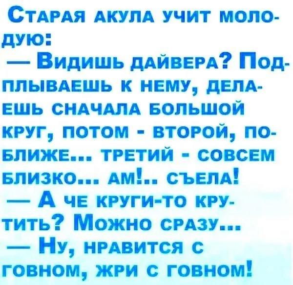 Спи Ая АКУЛА учит моло дую Видишь мини Под ппыпцшь нишу дцпд пшь сндчшд БОЛЬШОЙ круг потом второй по впижи третий соки пивко Аи съели А че круги то кп тить Можно сгпу Ну ирцится с говно говном