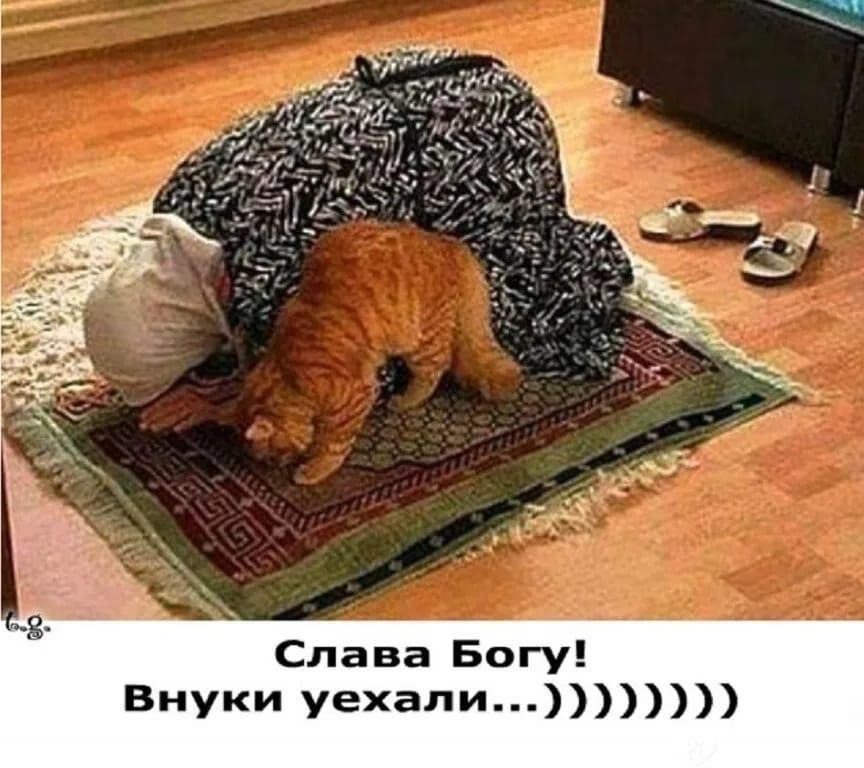 Слава Богу Внуки уехали