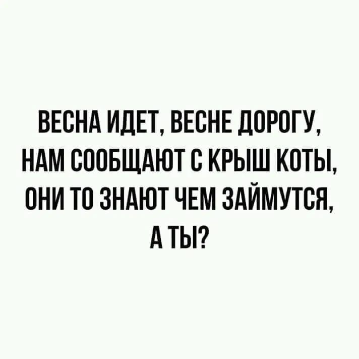 ВЕСНА ИДЕТ ВЕБНЕ ДПРПГУ НАМ СППБЩАЮТ В КРЫШ КПТЫ 0НИ ТВ ЗНАЮТ ЧЕМ ЗАЙМУТБН А ТЫ