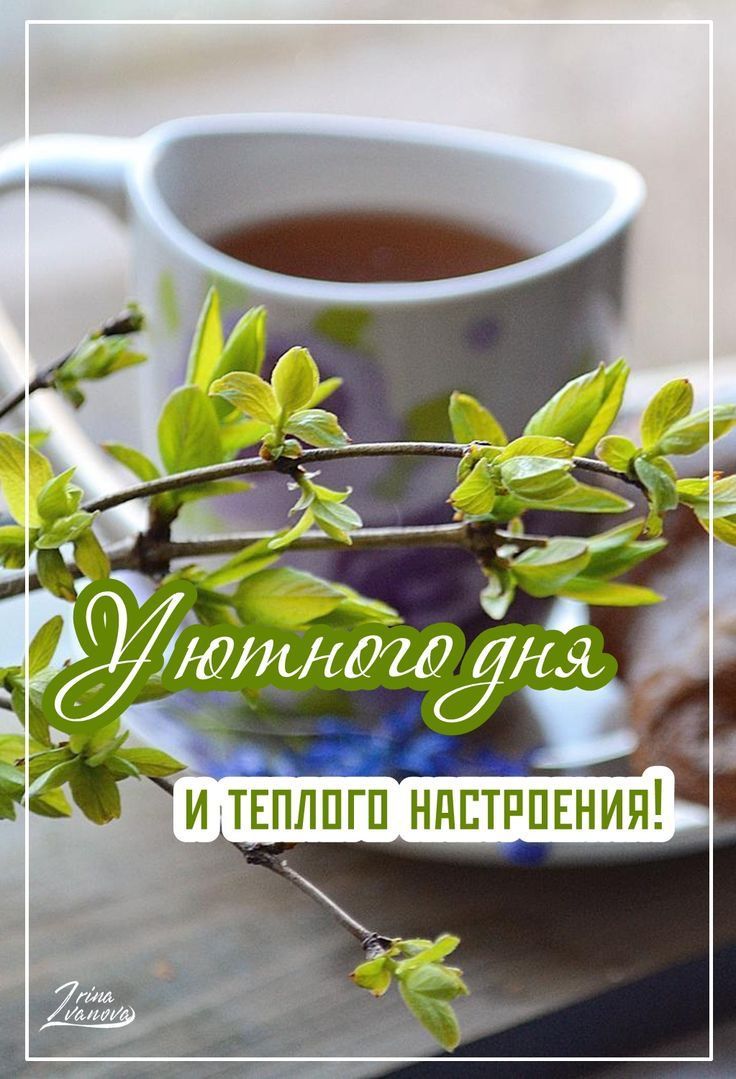 Пп И Н Е П Пп Е Н Н П П Л П Е И