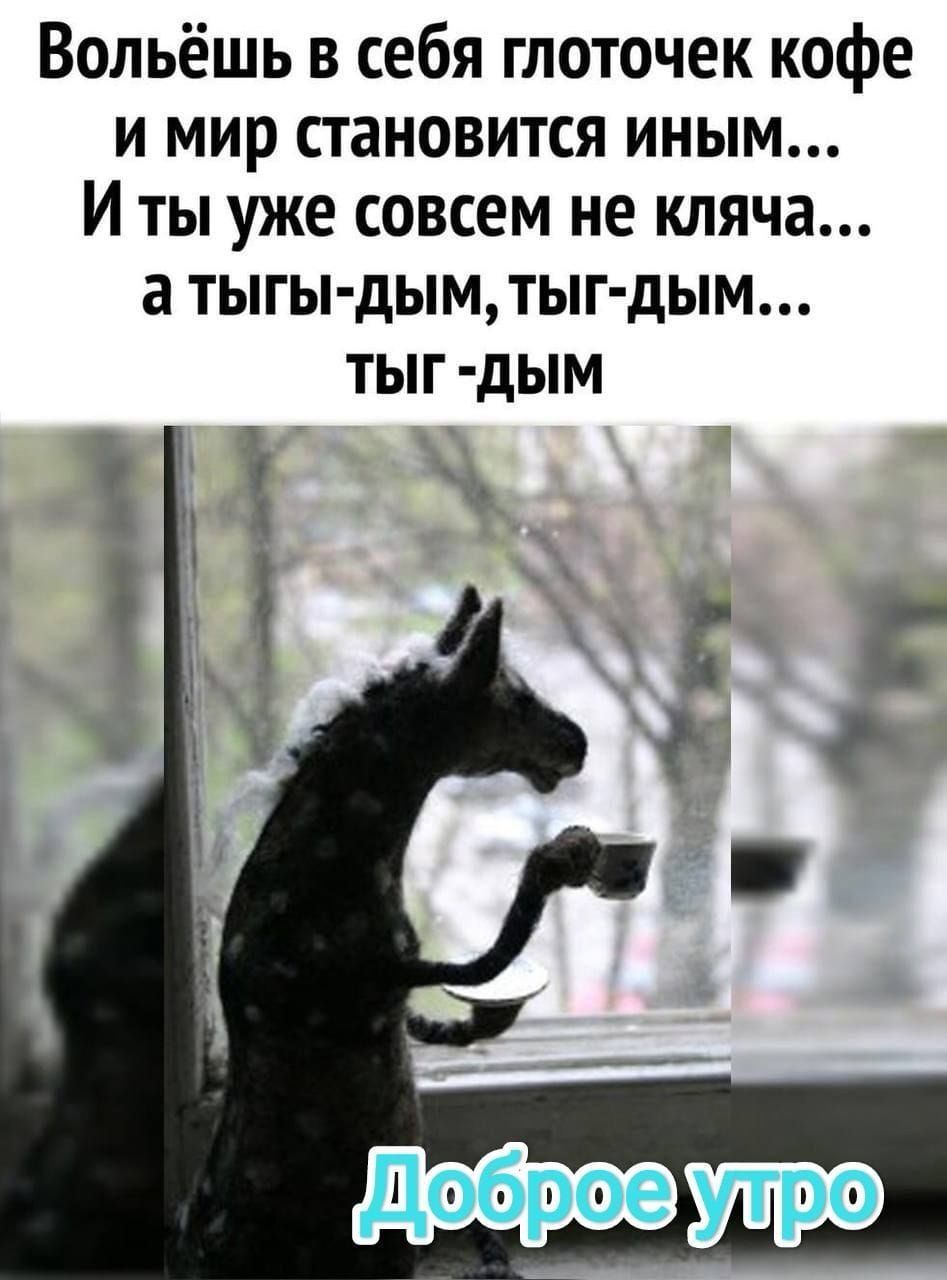 Вольёшь в себя глоточек кофе и мир становится иным И ты уже совсем не кляча а тыгы дым тыг дым ТЫГ дЫМ