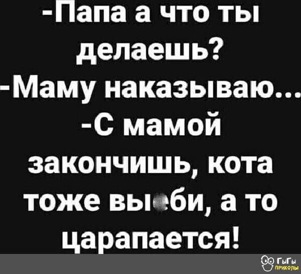 Папа а что ты делаешь Маму наказываю С мамой закончишь кота тоже выеби а то царапается