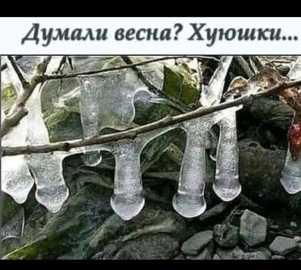 Думали весна Хуюшки