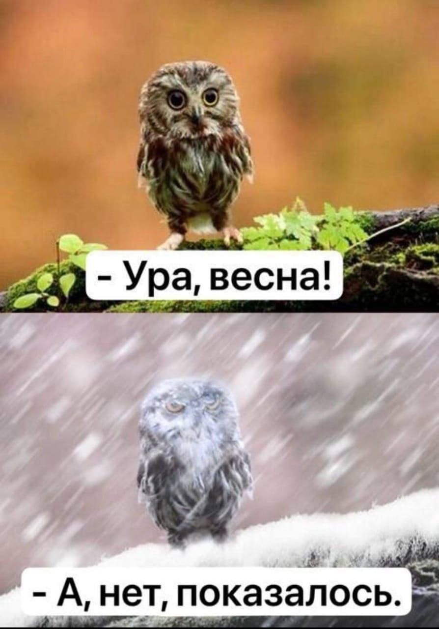 ш А нет показалосьЕ