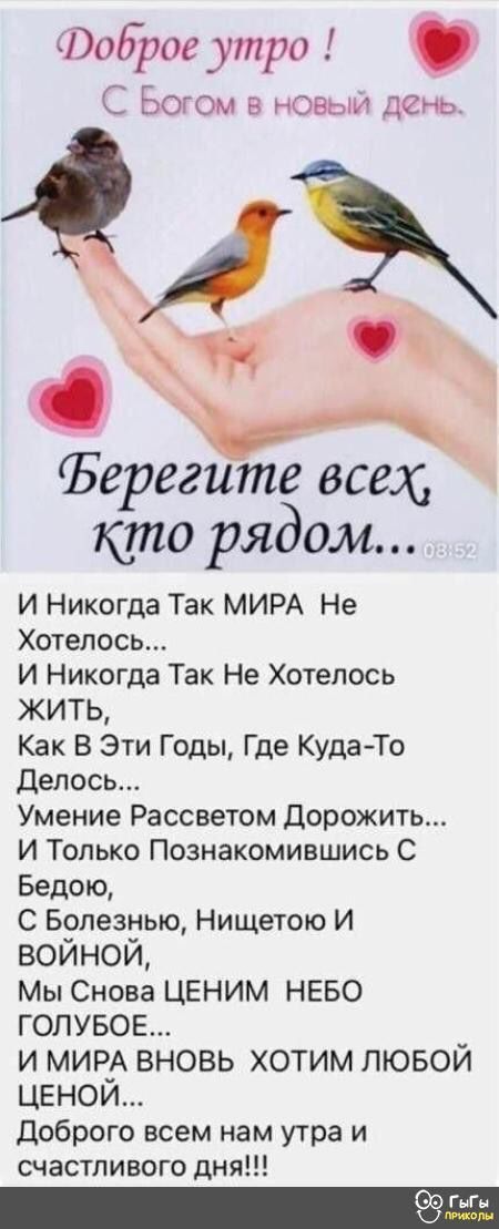 Фоброе утро С Богом в новых день ОБереёйте всех кто рядом И Никогда Так МИРА Не Хотелось И Никогда Так Не Хотелось ЖИТЬ Как В Эти Годы Где КудаТо Делось Умение Рассветом Дорожите И Только Познакомившись С Бедою С Болезнью Нищетою И ВОЙНОЙ Мы Снова ЦЕНИМ НЕБО ГОЛУБОЕ и МИРА вновь хотим лювой ценой Доброго всем нам утра и счастливого дня