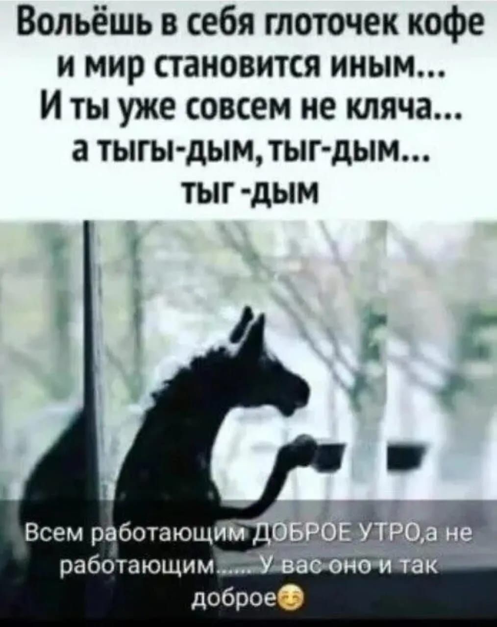 Вольёшь в себя глоточек кофе и мир становится иным И ты уже совсем не кляча а тыгы дым тыг дым ТЫГ дЫМ работающим доброе