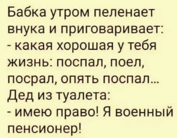 Бабка утром пеленает внука и приговаривает какая хорошая у тебя жизнь поспал поел посрал опять поспал Дед из туалета имею право Я военный пенсионер