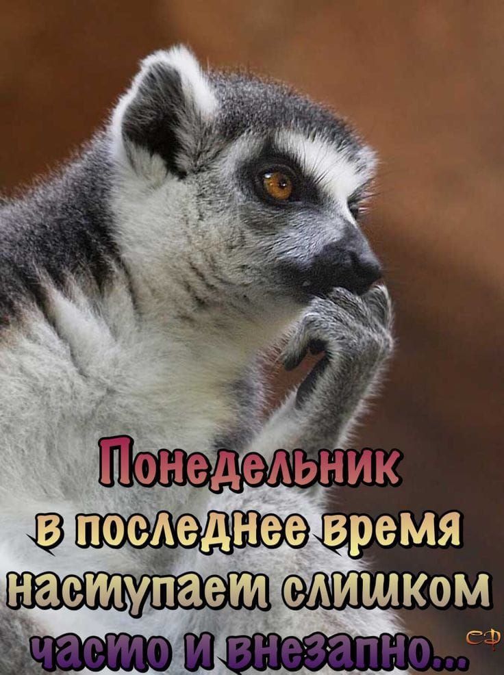последйее ВЬеМЯ наступает САИШКОМ