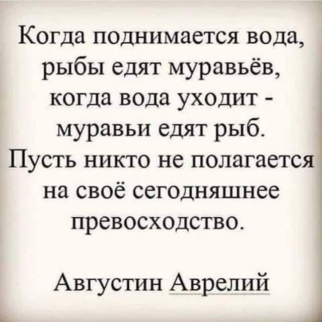 Когда поднимается вода рыбы едят муравьёв когда вода уходит муравьи едят рыб_ Пусть никто не полагается на своё сегодняшнее превосходство Августин Аврелий