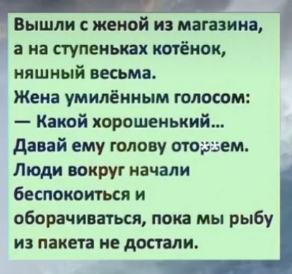 и Вышли с женой из магазина а на ступеньках котёнок няшный весьма Жена умилёкиым голосом Какой хорошенький давай ему голову оторъем Люди вокруг начали беспокоиться и оборачиваться пока мы рыбу из пакета не достали