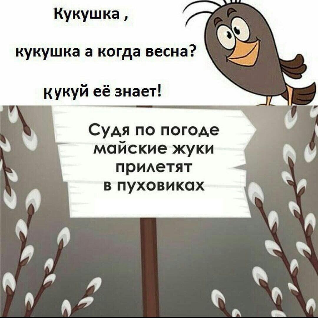 кукушка а когда весна кукуй её знает Судя по погоде в майские жуки и придетят 0 в пуховиках 0 0 д Л 0 Л 4 д