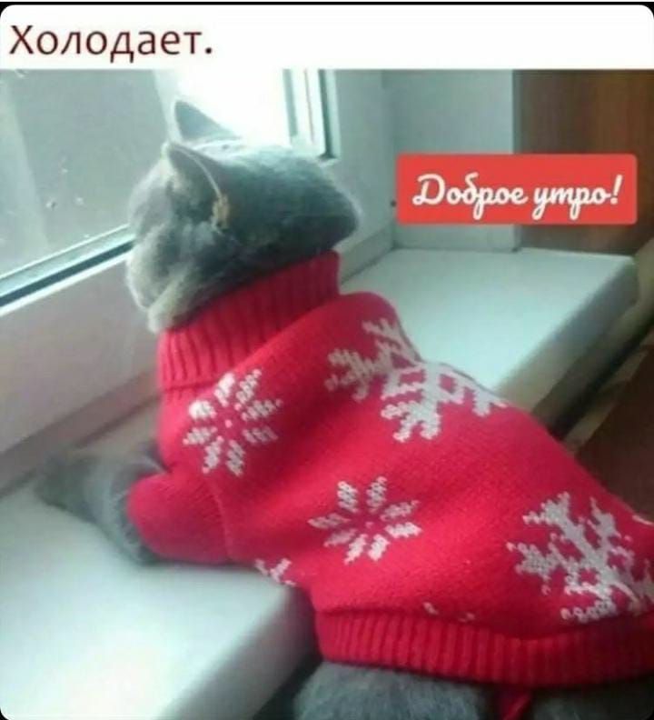 Холодает