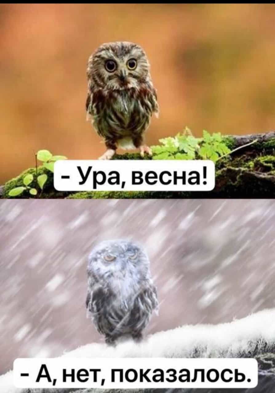 А нет показалось