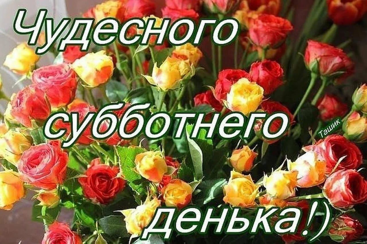 и судага _ ёщне ЧУДЁ