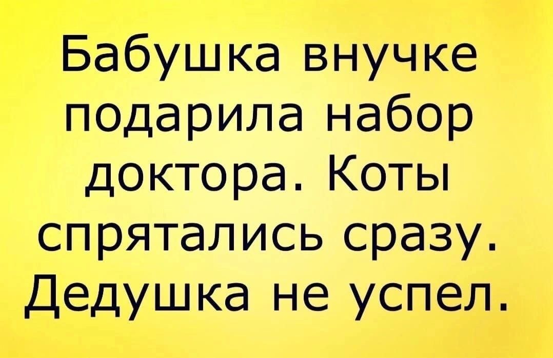 Бабушка внучке подарила набор доктора Коты спрятались сразу Дедушка не успел