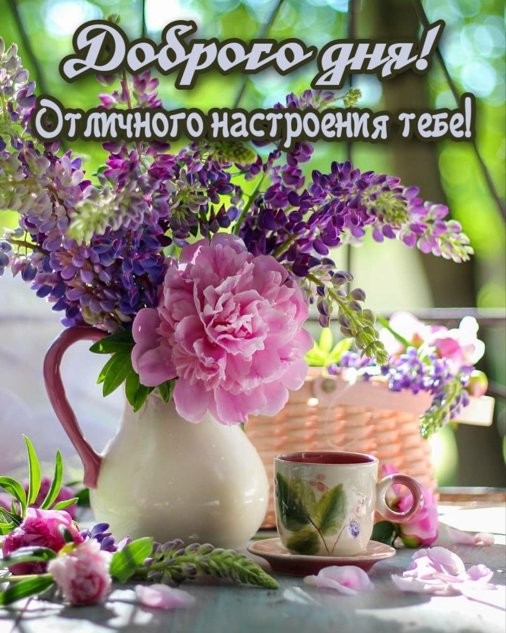 ае н 5