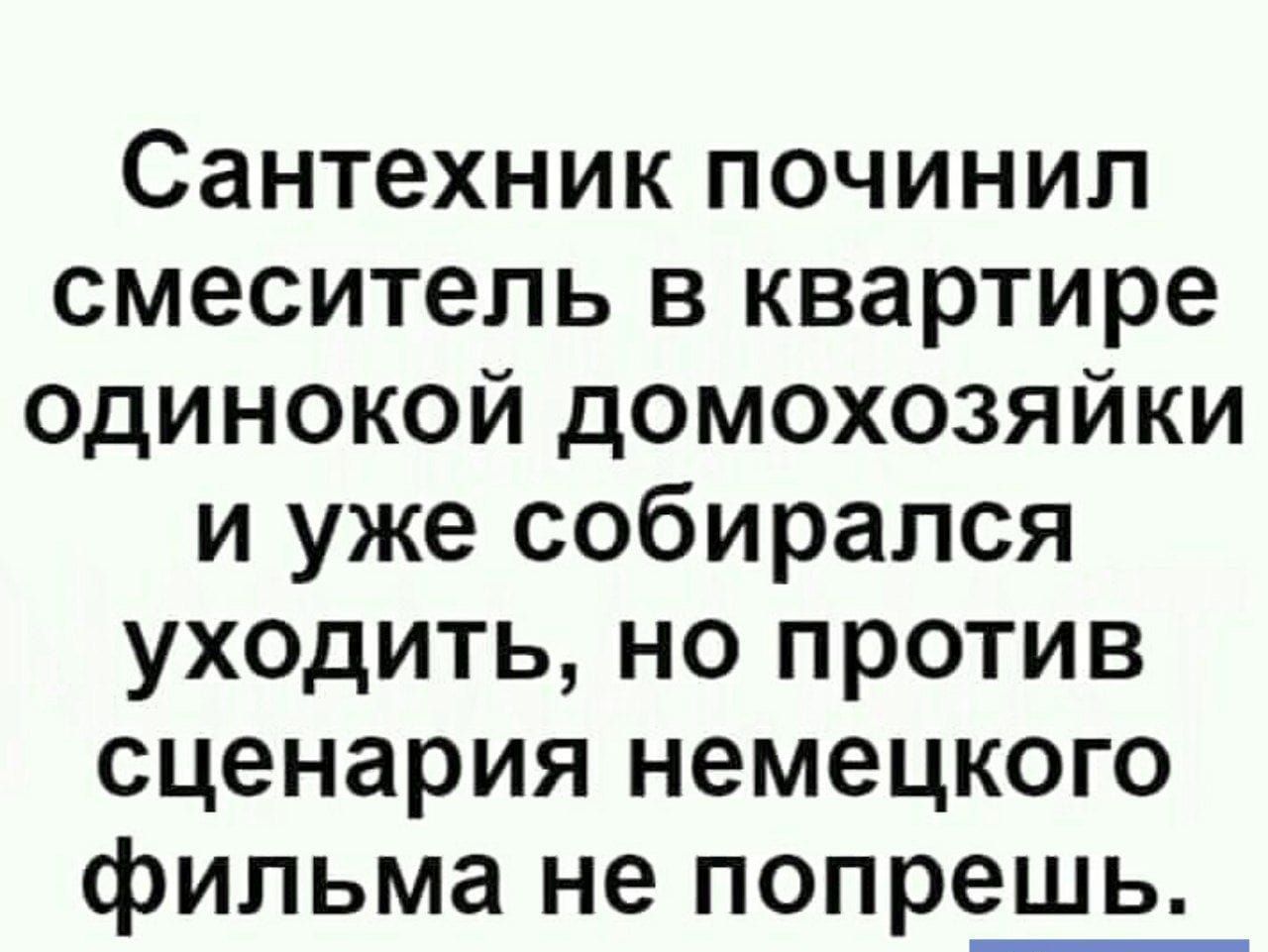 Сантехник починил смеситель в квартире одинокой домохозяйки и уже собирался уходить но против сценария немецкого фильма не попрешь