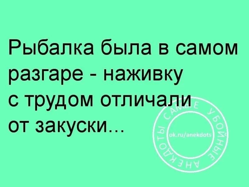 Рыбалка была в самом разгаре наживку с трудом отличали от закуски