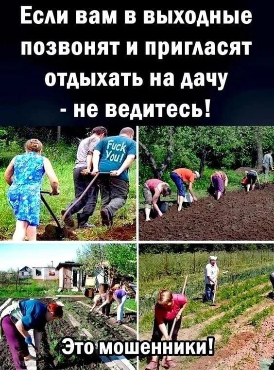 Если вам в выходные позвонят и пригласят отдыхать на дачу не ведитесь