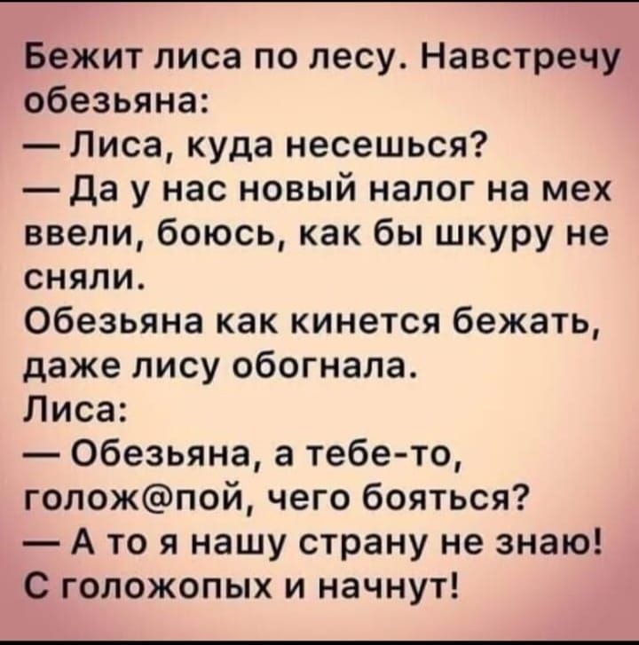 Бежит лиса по лесу Навстречу обезьяна Лиса куда несешься да у нас новый налог на мех ввели боюсь как бы шкуру не сняли Обезьяна как кинется бежать даже лису обогнала Лиса Обезьяна а тебе то гопожпой чего бояться А то я нашу страну не знаю С гопожопых и начнут