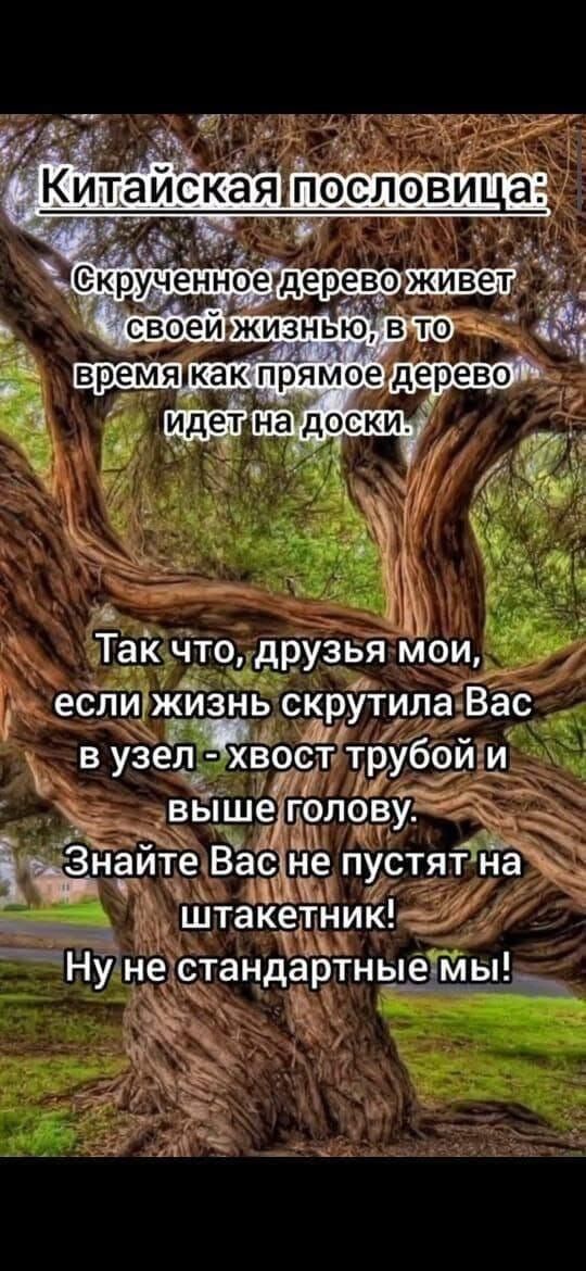 _ Так что друзья мои еслигжизнь скрутила Вас в узел хвост трубой и _ выше грлову і Знайте Вёсй е пустят на і _ штакётник Ну не стандартные Мы