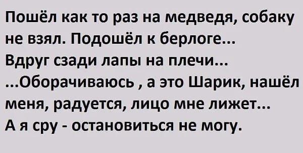 Пошёл как то раз на медведя собаку не взял Подошёл к берлоге Вдруг сзади папы на плечи Оборачиваюсь а это Шарик нашёл меня радуется лицо мне лижет А я сру остановиться не могу