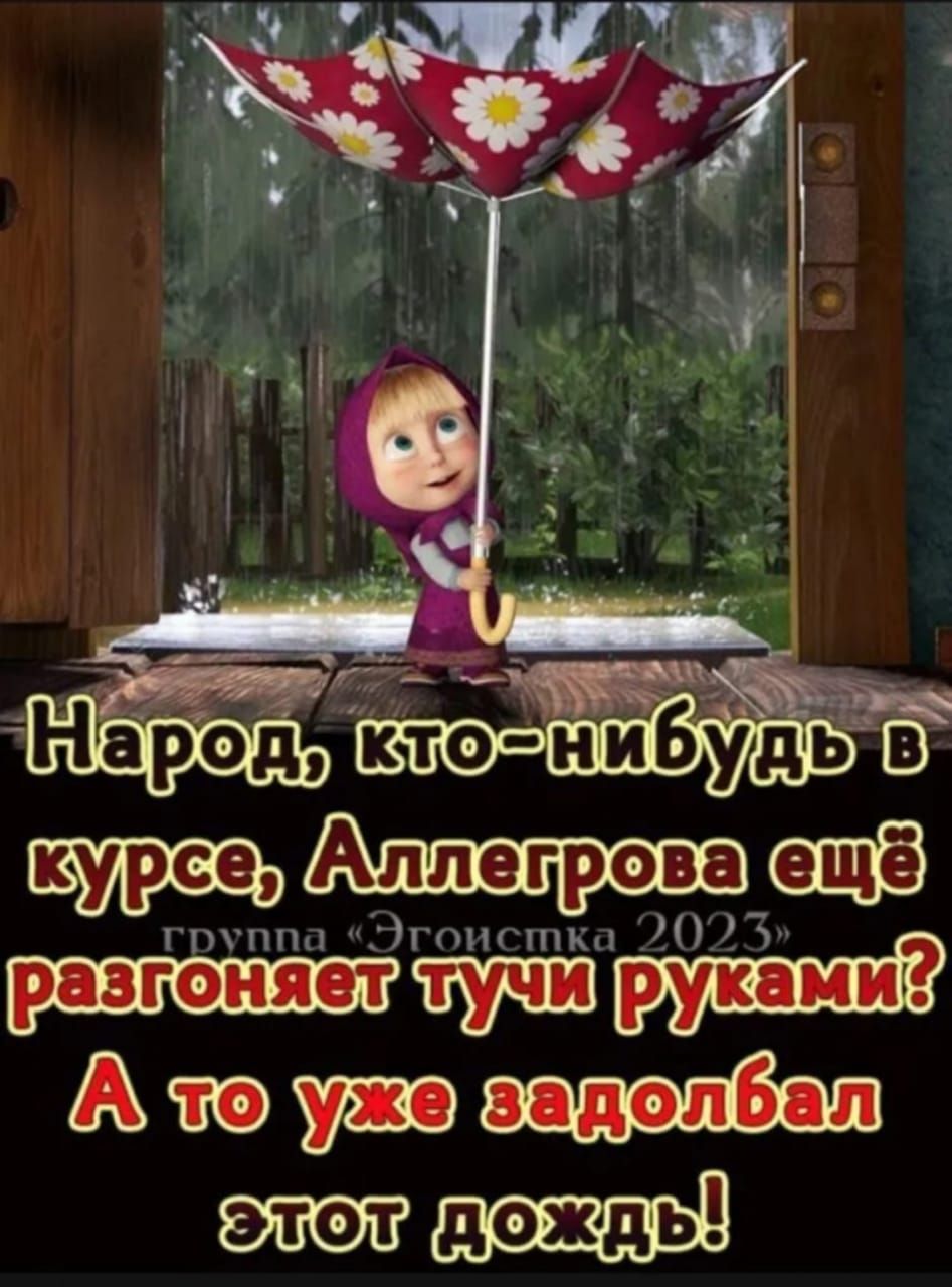 шпиц Лишних АвуМ же