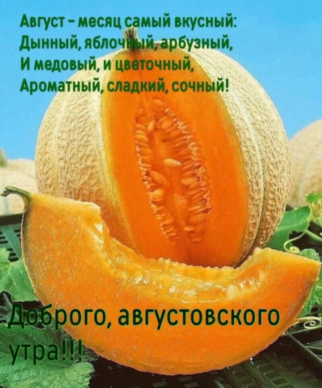 Август месяц мый иусный И медовый Ароиатиый