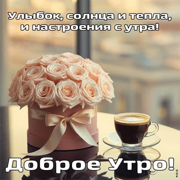 У7дл аХа ега УАРООЛЕ 00 чле0УлЕЦ