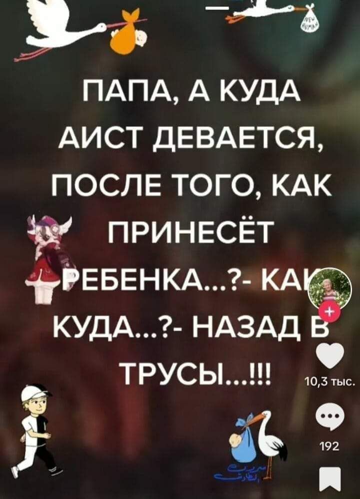 ПАПА А КУДА АИСТ ДЕВАЕТСЯ ПОСЛЕ ТОГО КАК 1 ПРИНЕСЁТ РЕБЕНКА КА КУДА НАЗАД В ТРУСЫ юзс_