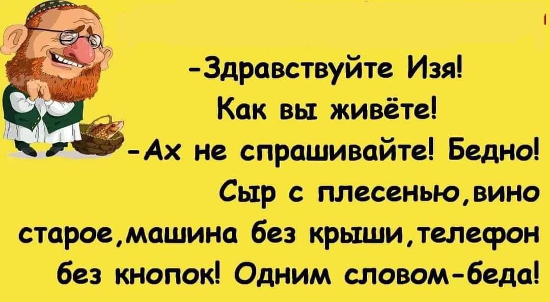 Сыр с плесенью вино староемашина без крыши телефон без кнопок Одним словом беда