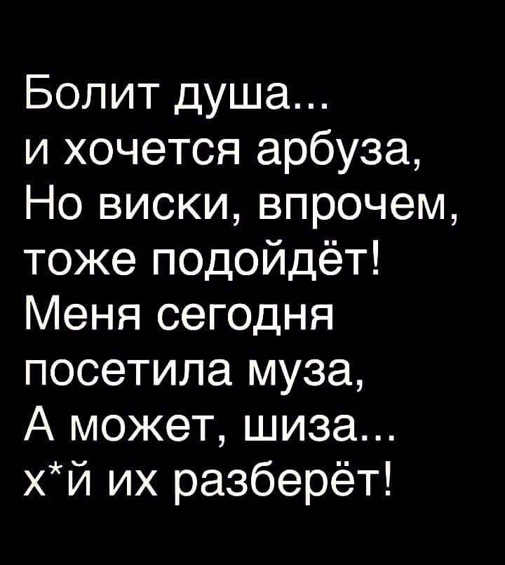 Болит душа и хочется арбуза Но виски впрочем тоже подойдёт Меня сегодня посетила муза А может шиза хй их разберёт