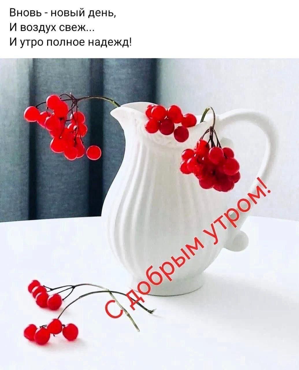 Вновь новый день И воздух свеж И утро полное надежд