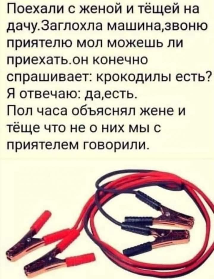 Поехали с женой и тёщей на дачуЗаглохла машиназвоню приятелю мол можешь ли приехатьон конечно спрашивает крокодилы есть Я отвечаю даесть Пол часа объяснял жене и тёще что не о них мы с приятелем говорили