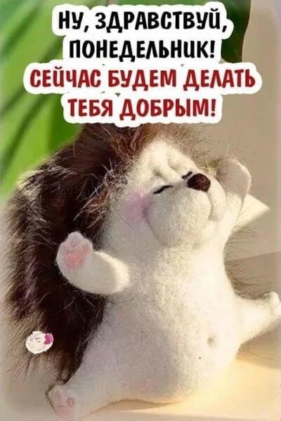 Нн здрдвствуп И ПОНЕДЕЛЬНИК СЕЙЧАС БУДЕМ ДЕЛАТЬ ТЕБЯ ДОБРЫМ р