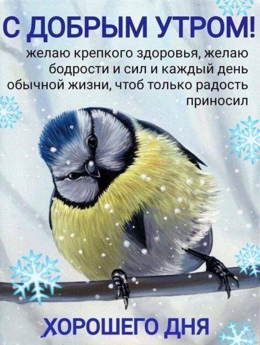 СДОБРЫМ УТРОМ желаю крепкого здоровья желаю бодрости и сил и каждый день обычной жизни чтоб только радость приносил ХОРОШЕГО ДНЯ