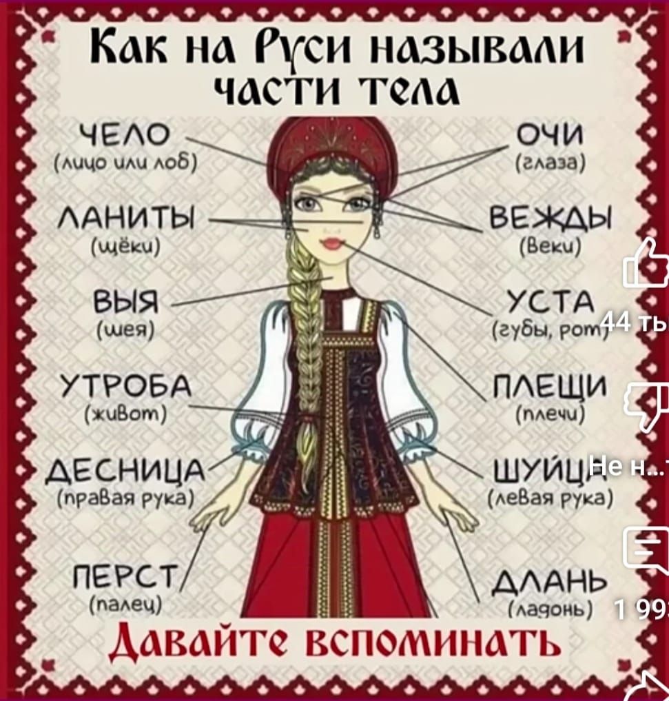 СИ НаЗывВали ЧАСТИ Гела ЧЕЛО чч лоб глоза ЛАНИТЫ ДЕСНИЦА правая рука ов Аеваярткау палец лавонь 99 Давайте вспоминать у