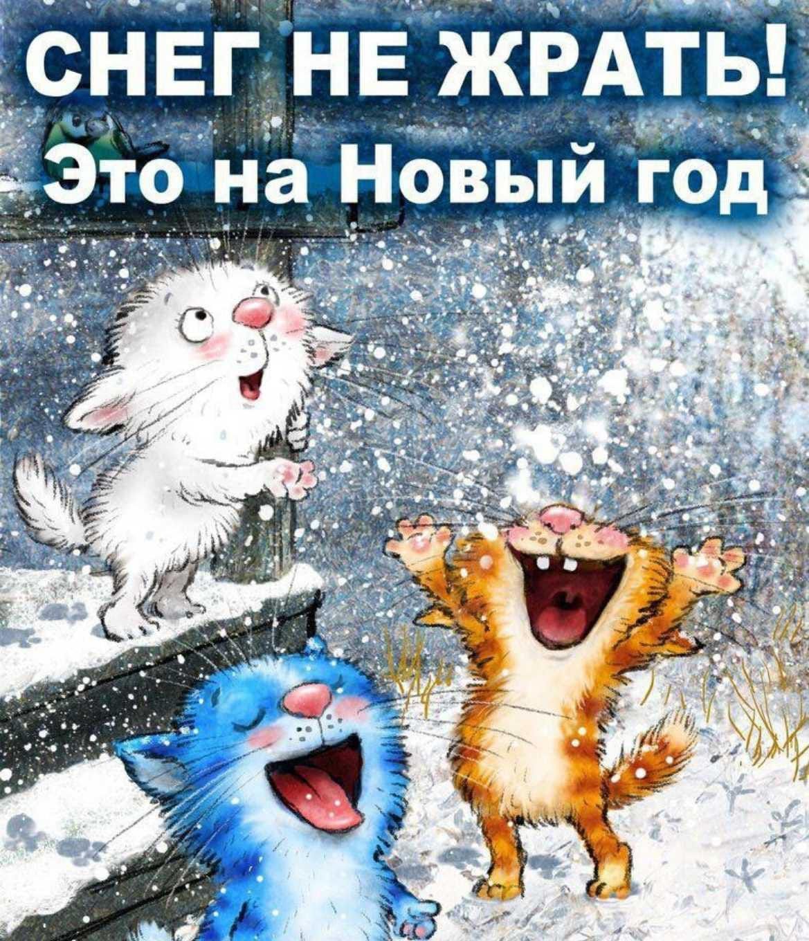 СНЕГНЕ ЖРАТЬ