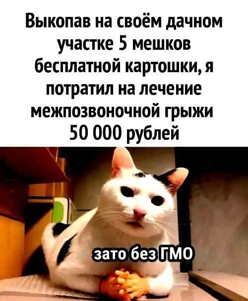 Выкопав на своём дачном участке 5 мешков бесплатной картошки я потратил на лечение межпозвоночной грыжи 50 000 рублей