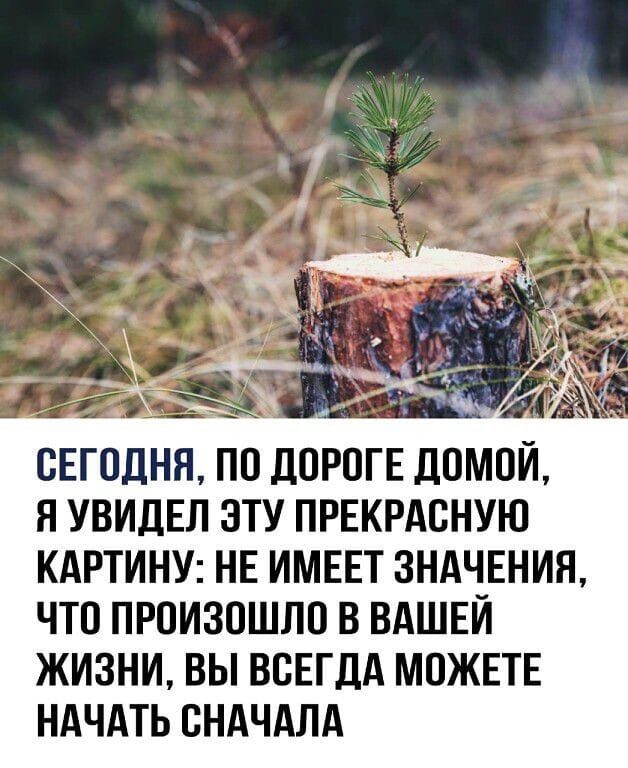 БЕГПЛНН по ЦОРПГЕ доМой Я УВИДЕЛ ЭТУ ПРЕКРАСНУЮ КАРТИНУ НЕ ИМЕЕТ ЗНАЧЕНИЯ ЧТО ПРОИЗОШЛО В ВАШЕЙ ЖИЗНИ ВЫ ВСЕГДА МОЖЕТЕ НАЧАТЬ СНАЧАЛА