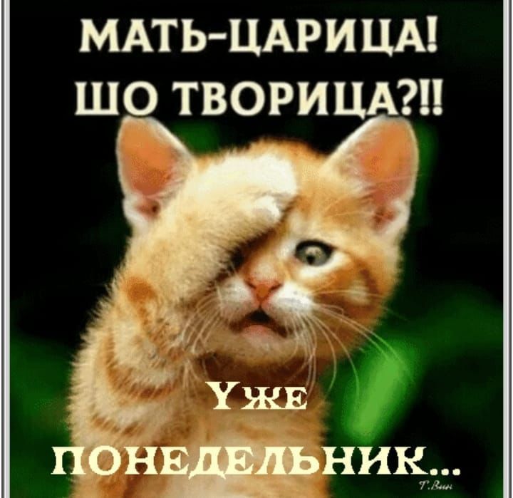 МАТЬ ЦАРИЦА ШО ТВОРИЦА