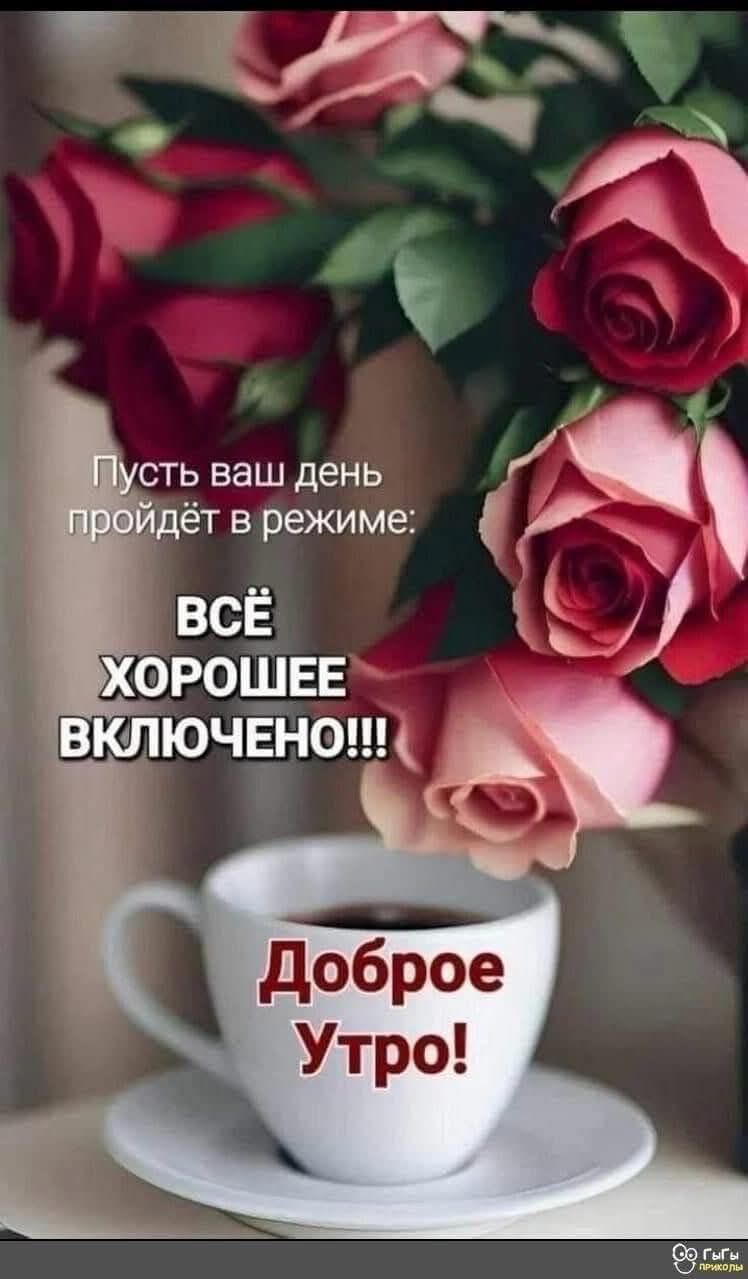 Пусть ваш день ой Пройдёт в режиме