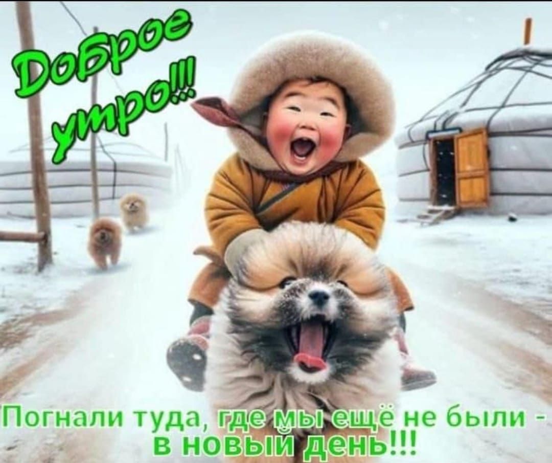 Погнали туда тдед в новВЫ ень