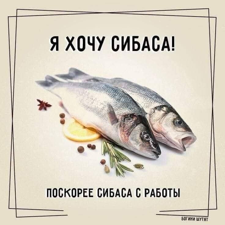 Я х0чу сибаса!    :