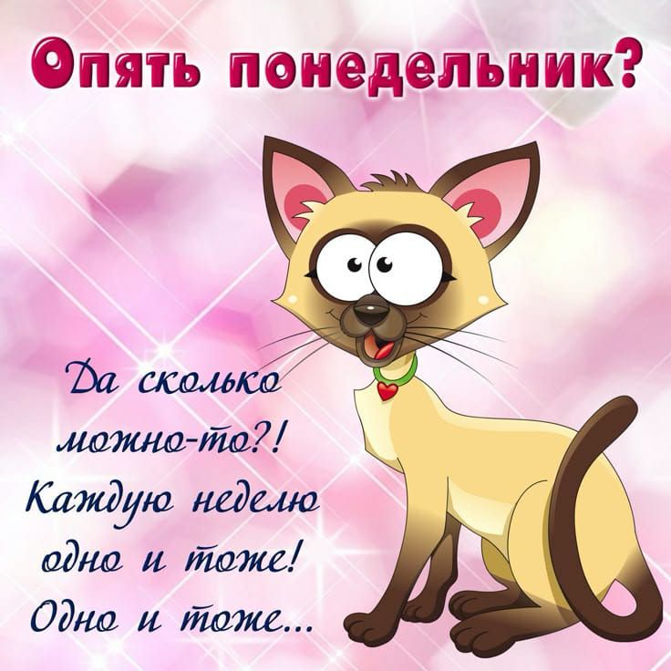 Опять понедельник?
Да сколько можно-то?!
Каждую неделю одно и то же!
Одно и то же...