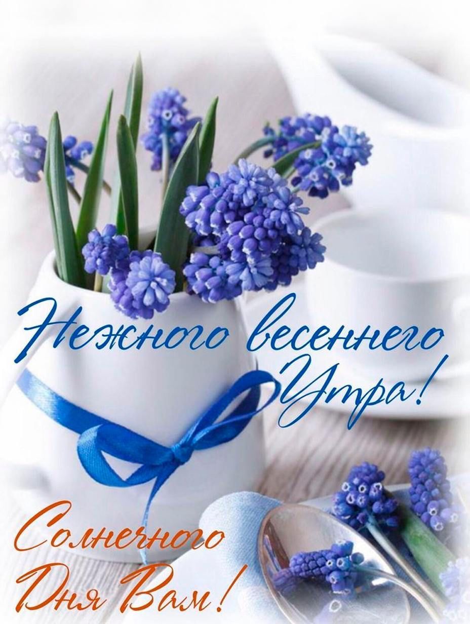 Нежного весеннего Утра! Солнечного Дня Вам!